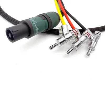 CHORD Epic High-Level Subwoofer Cable Spades - Speakon 3m CHORD Epic High-Level Subwoofer Cable Spades - Speakon 3m