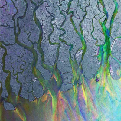 Вініловий диск Alt-J: An Awesome Wave